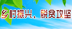 乡村振兴、脱贫攻坚