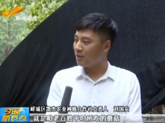 刘国安：生态农业种植带领村民脱贫致富