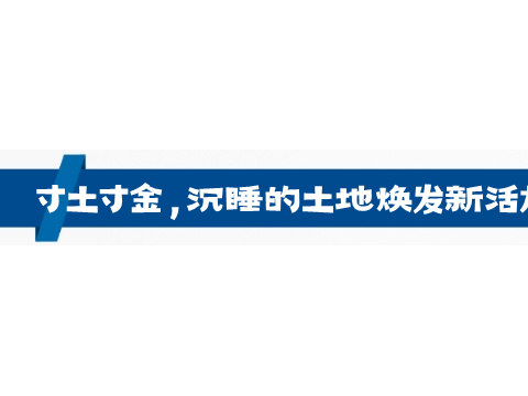 山东奖励这些县，盘活“沉睡”的土地